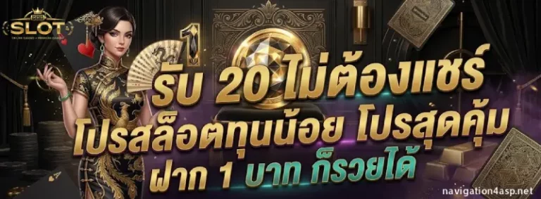 1 รับ 20 ไม่ต้องแชร์